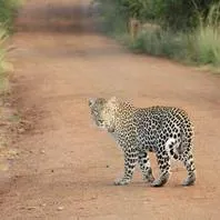 Dr. Dina RD. Testprovider, MD - Nuiqsut, AK - Cardiovascular Disease, Foot and Ankle Medicine and Surgery, Foot and Ankle Orthopedic Surgery